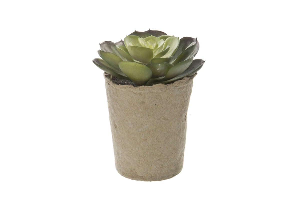 Kunstig plante med pappotte