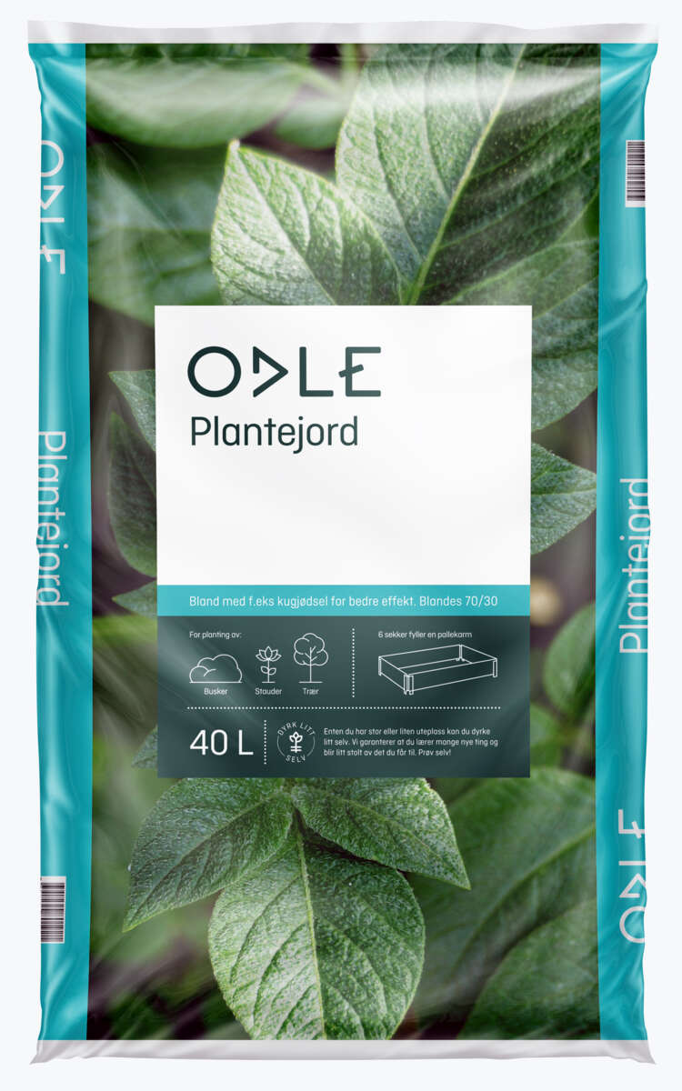 Odle plantejord