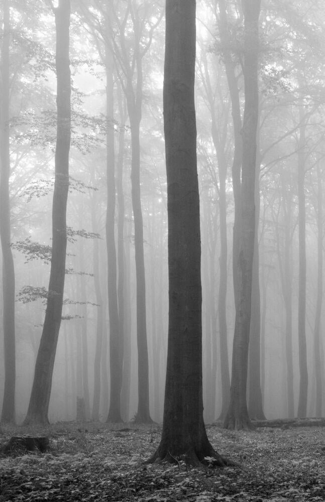 Huntonit Designplate Twilight 1