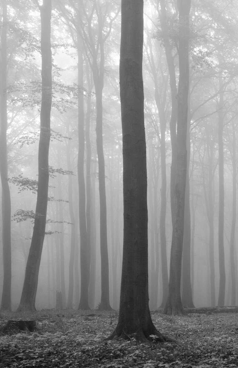 Huntonit Designplate Twilight 1