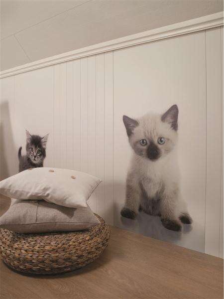 Huntonit Designpanel Kitten