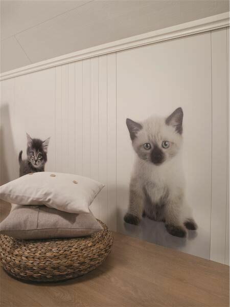 Huntonit Designpanel Kitten