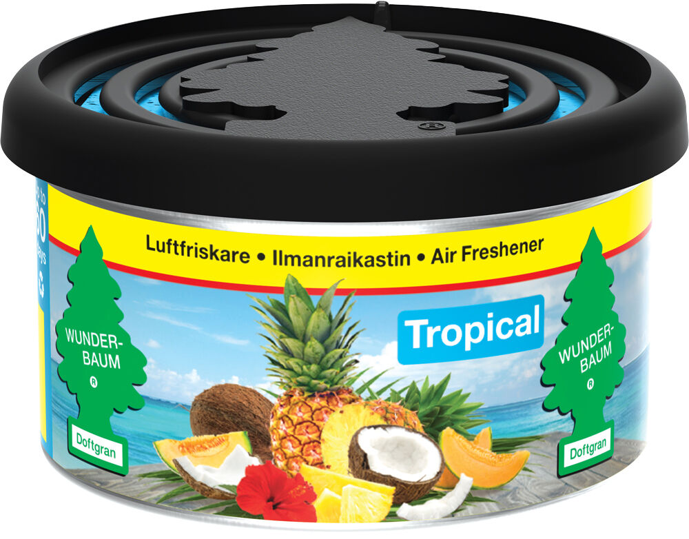 Wunder-Baum Fiber Can med tropiske dufter