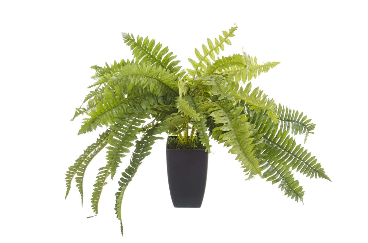 Kunstig plante - Bregne i potte