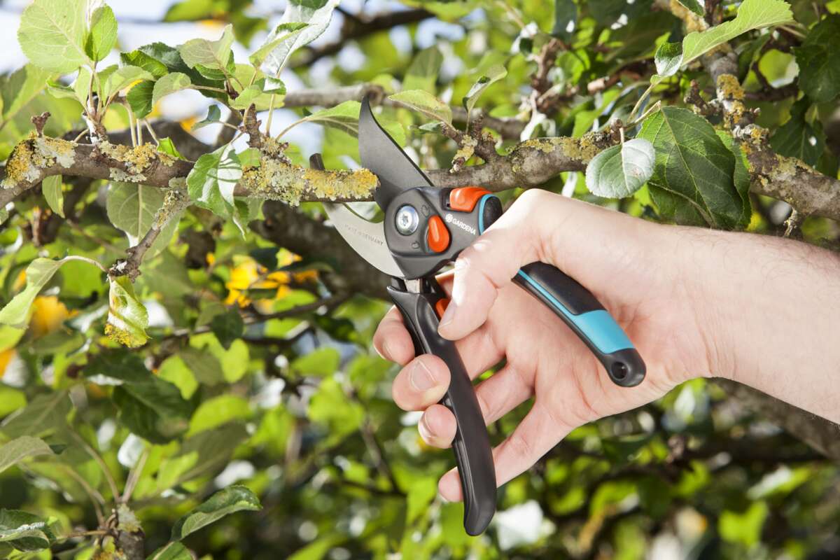 GARDENA Comfort beskjæringssaks
