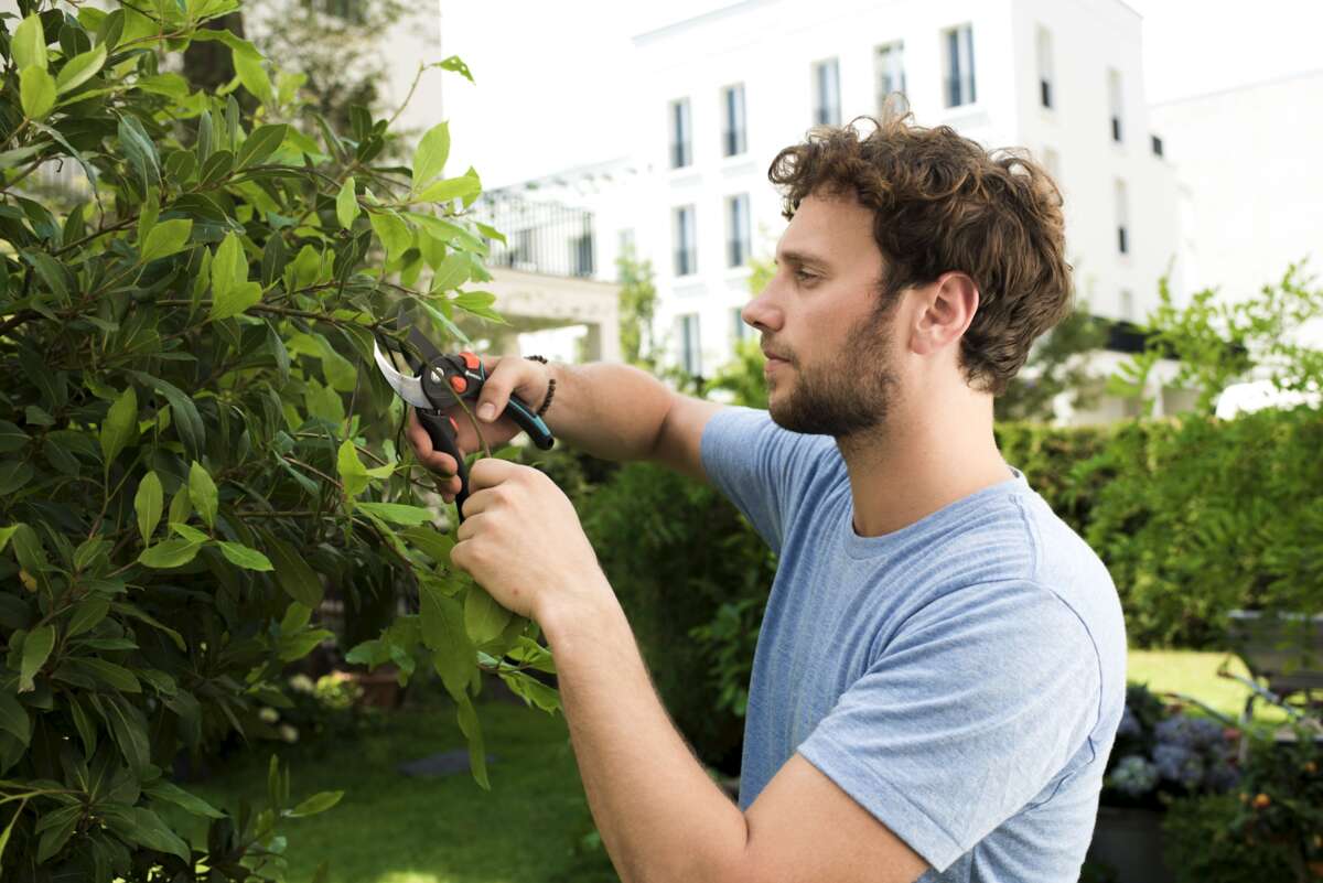 GARDENA Comfort beskjæringssaks