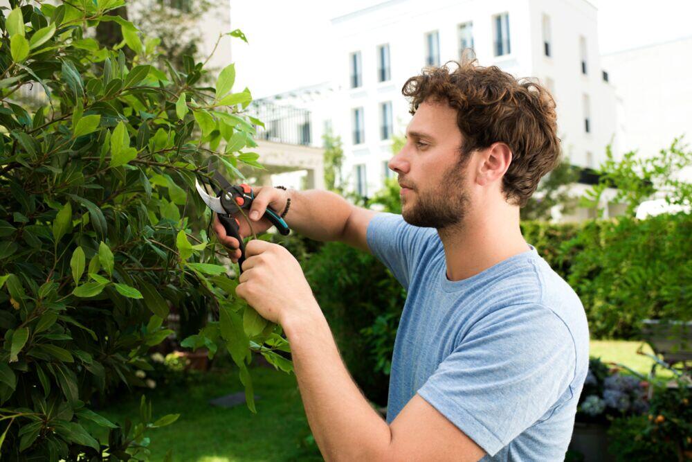 GARDENA Comfort beskjæringssaks