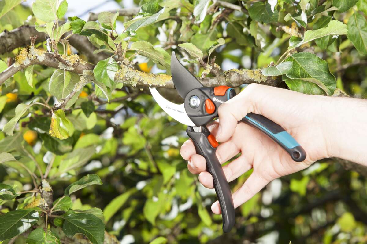 GARDENA Comfort beskjæringssaks