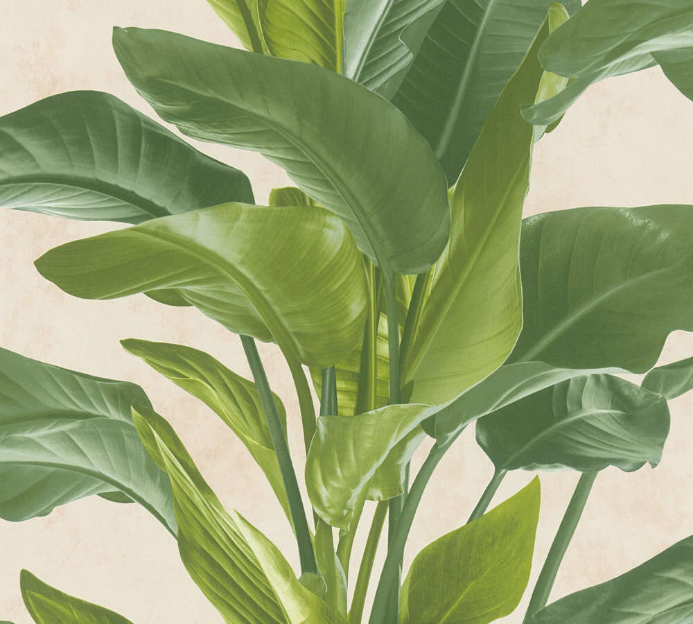 Storeys Utopia blomst 2 tapet