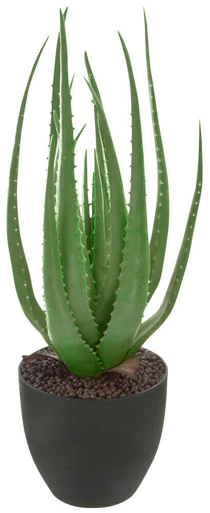 Kunstig plante - Aloe Vera i potte