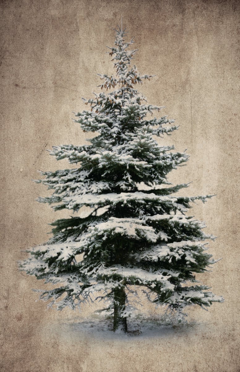 Nostalgi veggdekor med lys