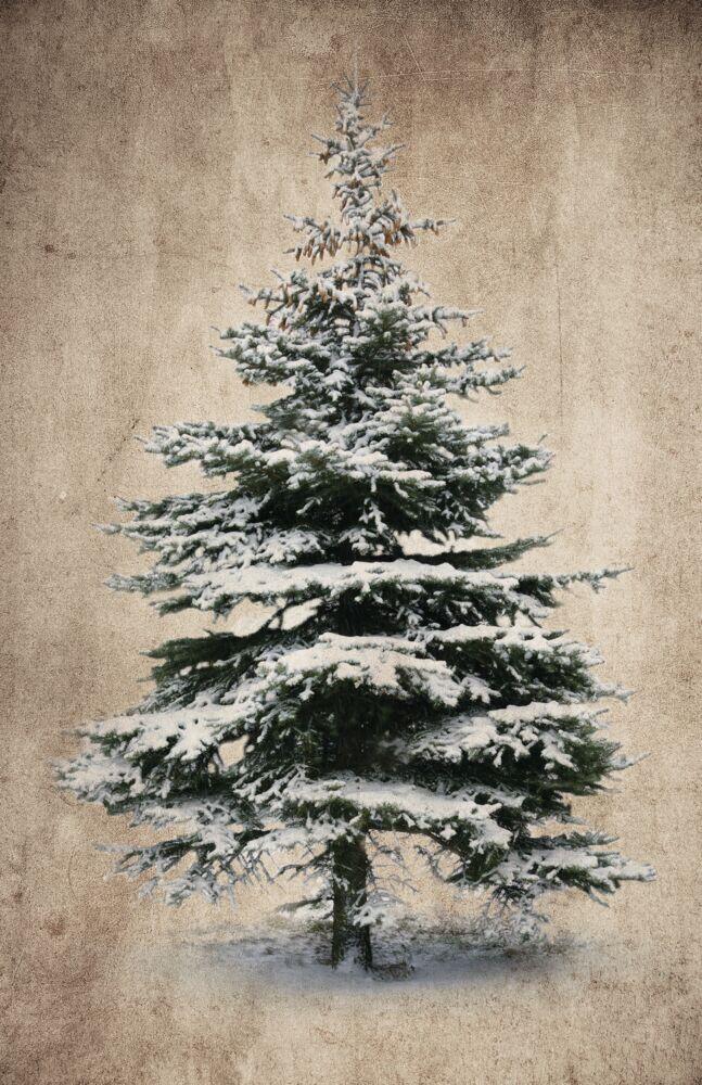 Nostalgi veggdekor med lys