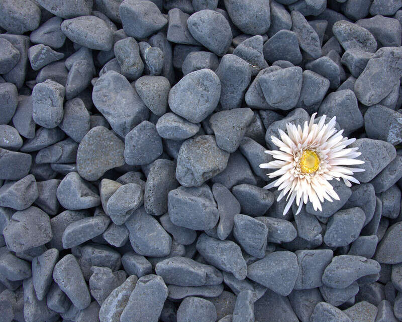 Multiblokk Dark Grey dekorsten 10-30mm