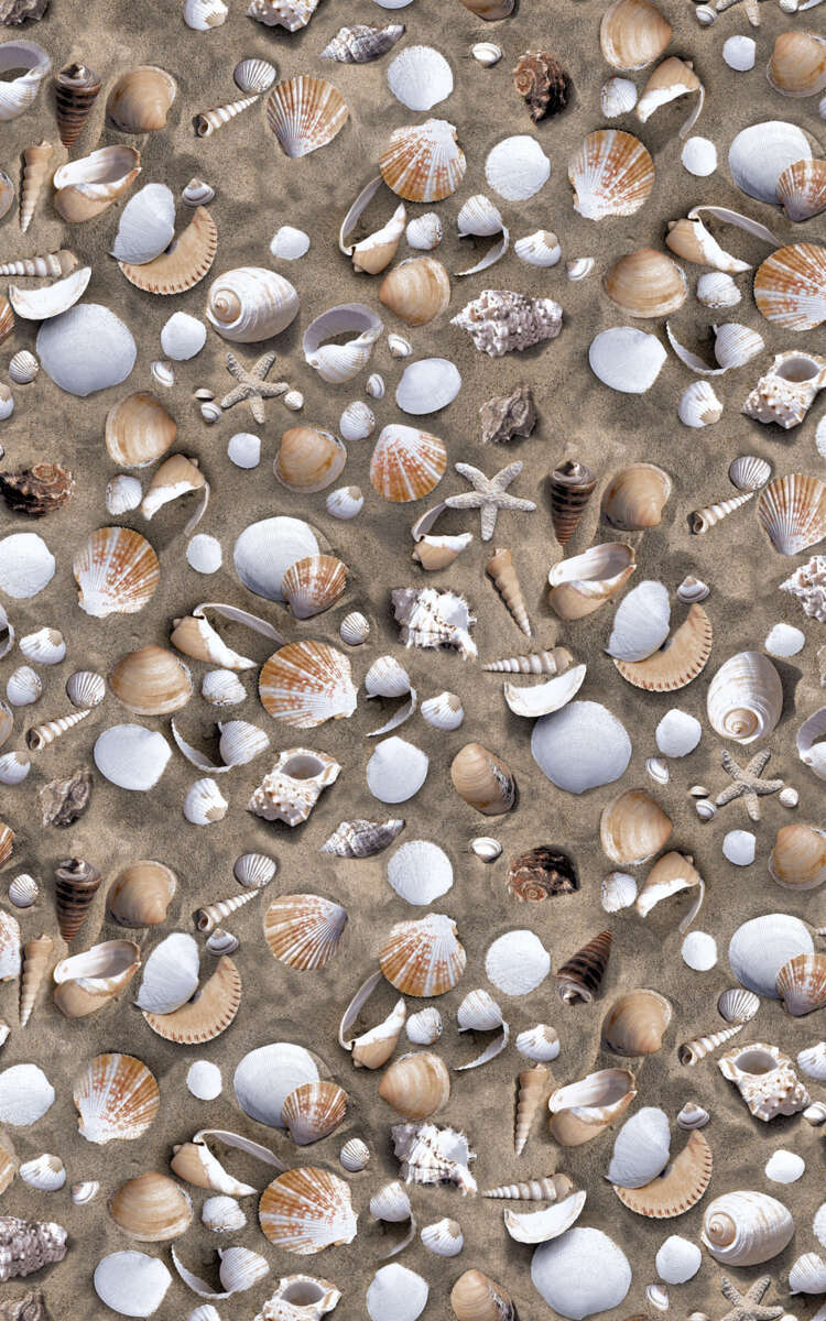 Designfolie Skjell 343-1010