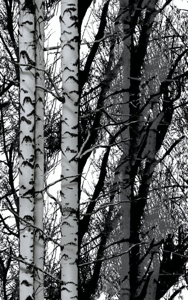 Designfolie skog 3460611