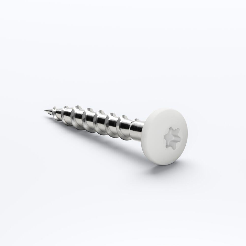 Terra skrue T20 hvit 200 stk