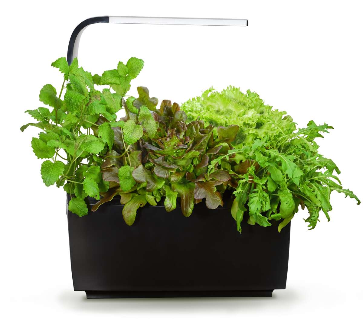 Tregren kjøkkenhage/minidrivhus T6, sort