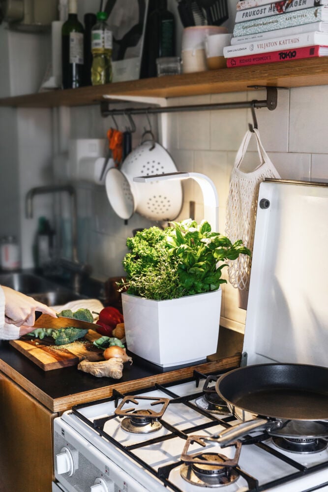 Tregren kjøkkenhage/minidrivhus T3, hvit