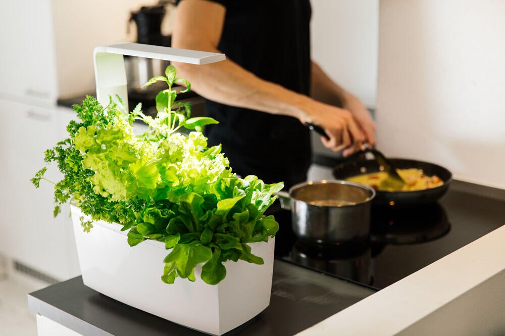 Tregren kjøkkenhage/minidrivhus T6, hvit