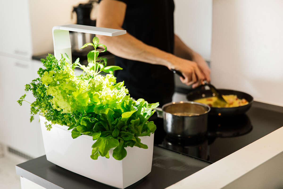 Tregren kjøkkenhage/minidrivhus T6, hvit