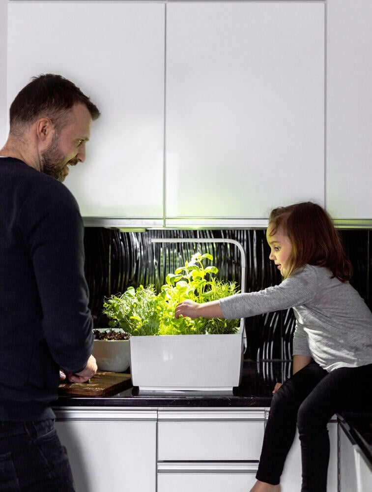 Tregren kjøkkenhage/minidrivhus T6, hvit