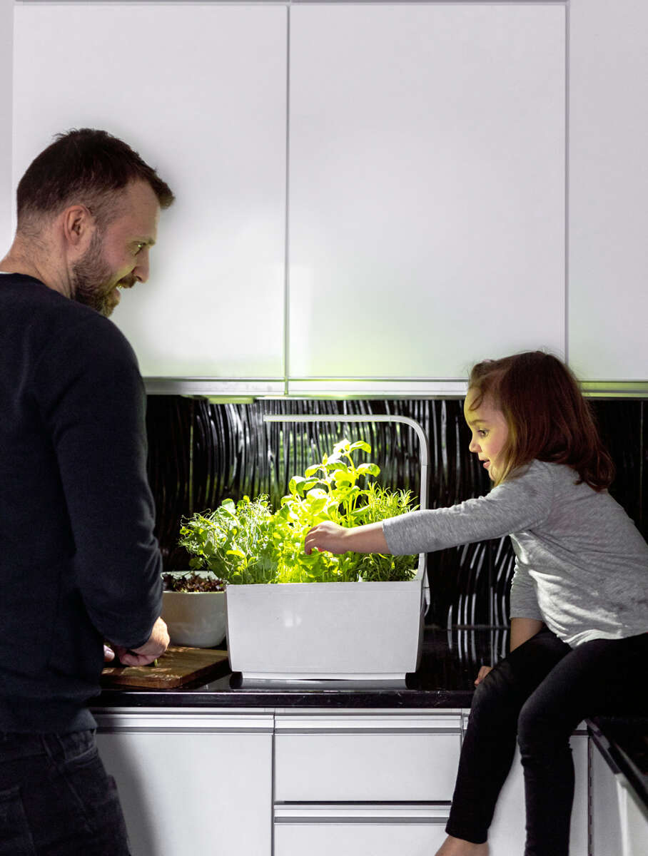 Tregren kjøkkenhage/minidrivhus T6, hvit