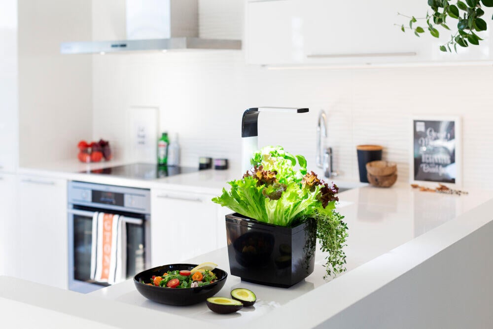 Tregren kjøkkenhage/minidrivhus, sort