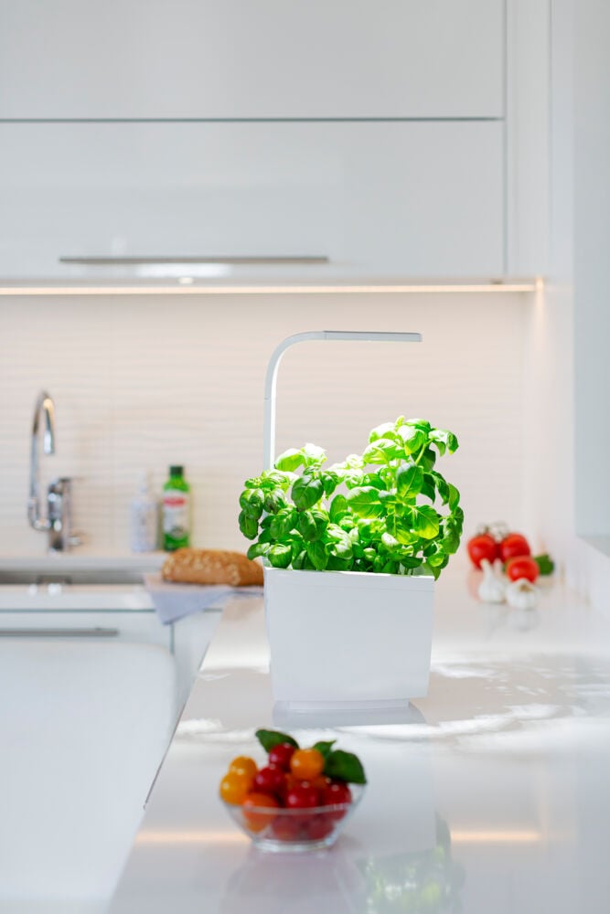 Tregren kjøkkenhage/minidrivhus T3, hvit