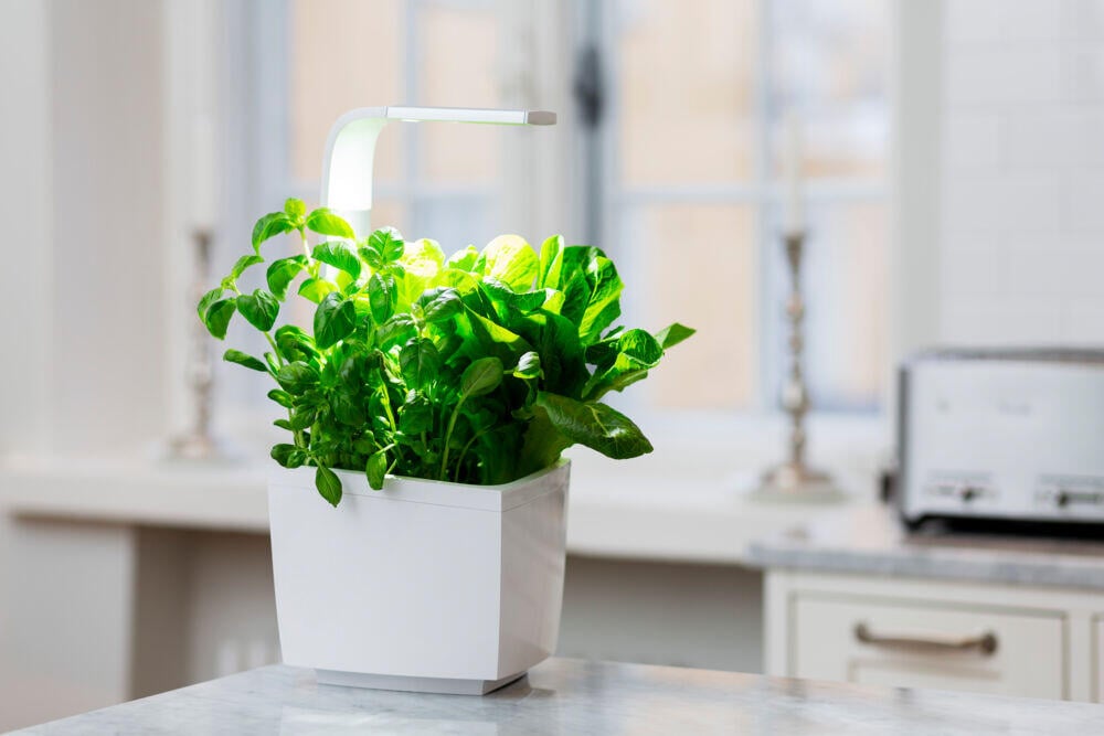 Tregren kjøkkenhage/minidrivhus T3, hvit