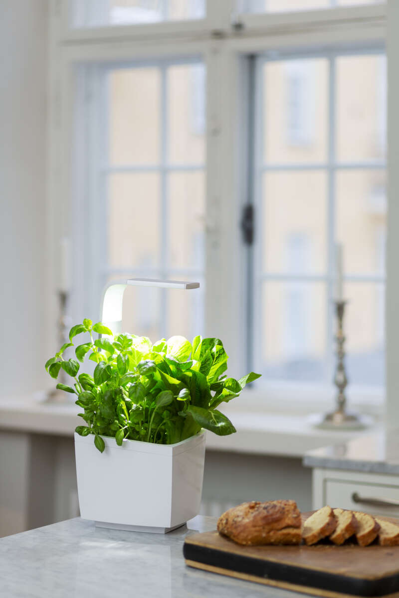 Tregren kjøkkenhage/minidrivhus T3, hvit