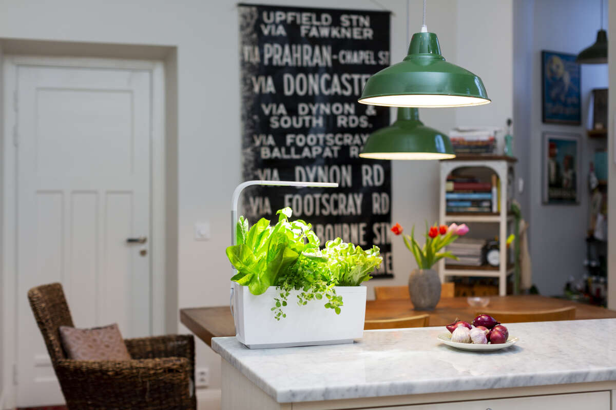 Tregren kjøkkenhage/minidrivhus T6, hvit