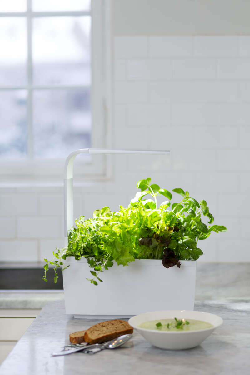 Tregren kjøkkenhage/minidrivhus T6, hvit