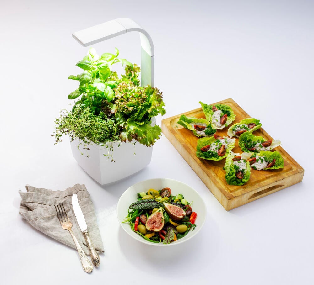 Tregren kjøkkenhage/minidrivhus T3, hvit