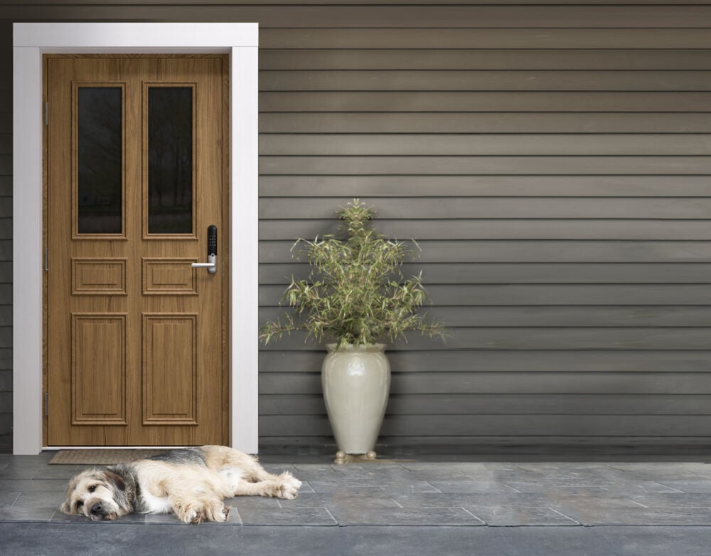 Yale Doorman L3