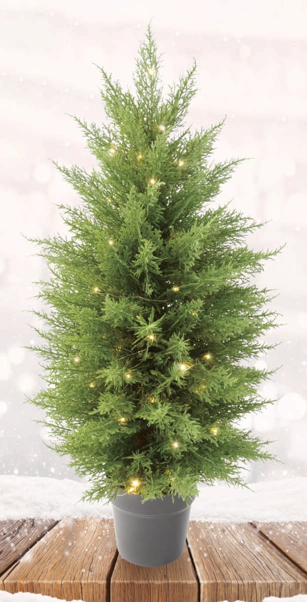 Thuja-busk med LED-lys i potte