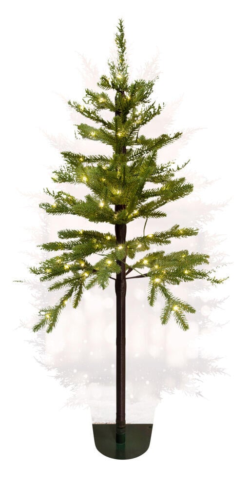 Shiny dekortre med lys