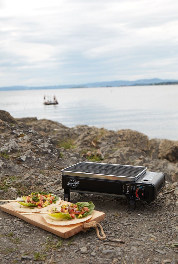 FCC Grab`N`Grill gassgrill