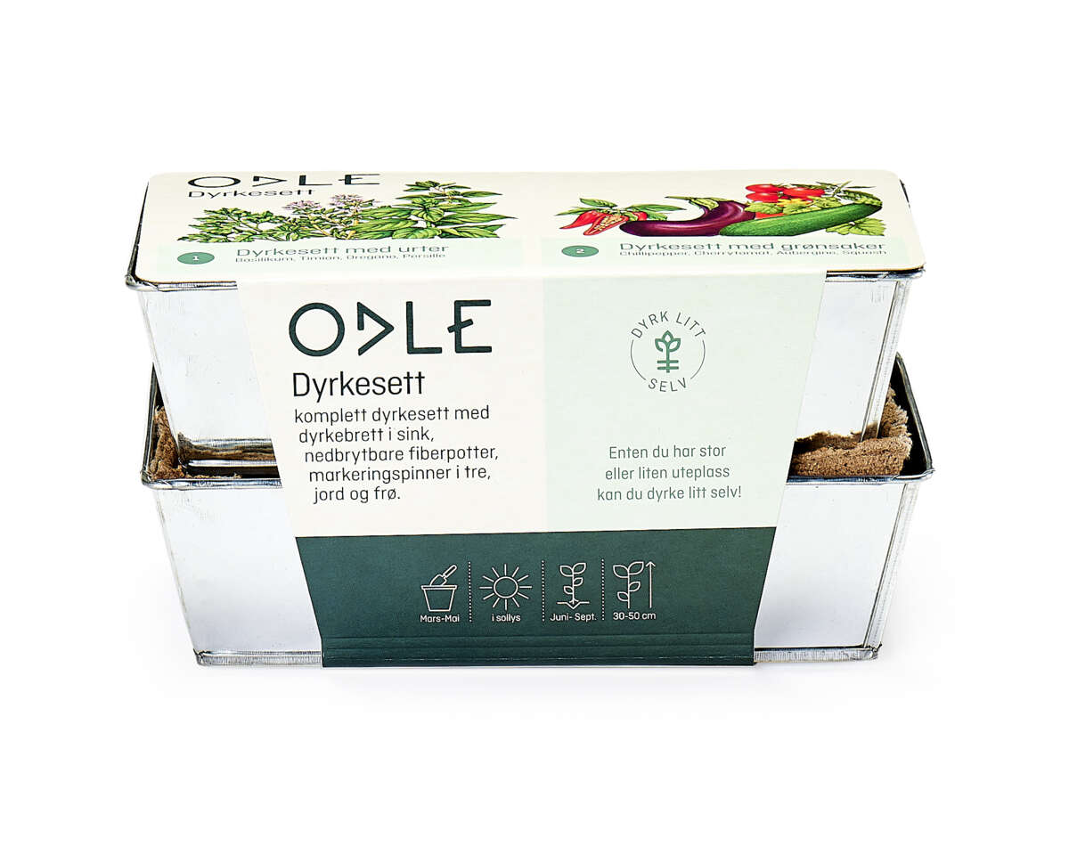 Odle dyrkesett med urter og grønnsaker