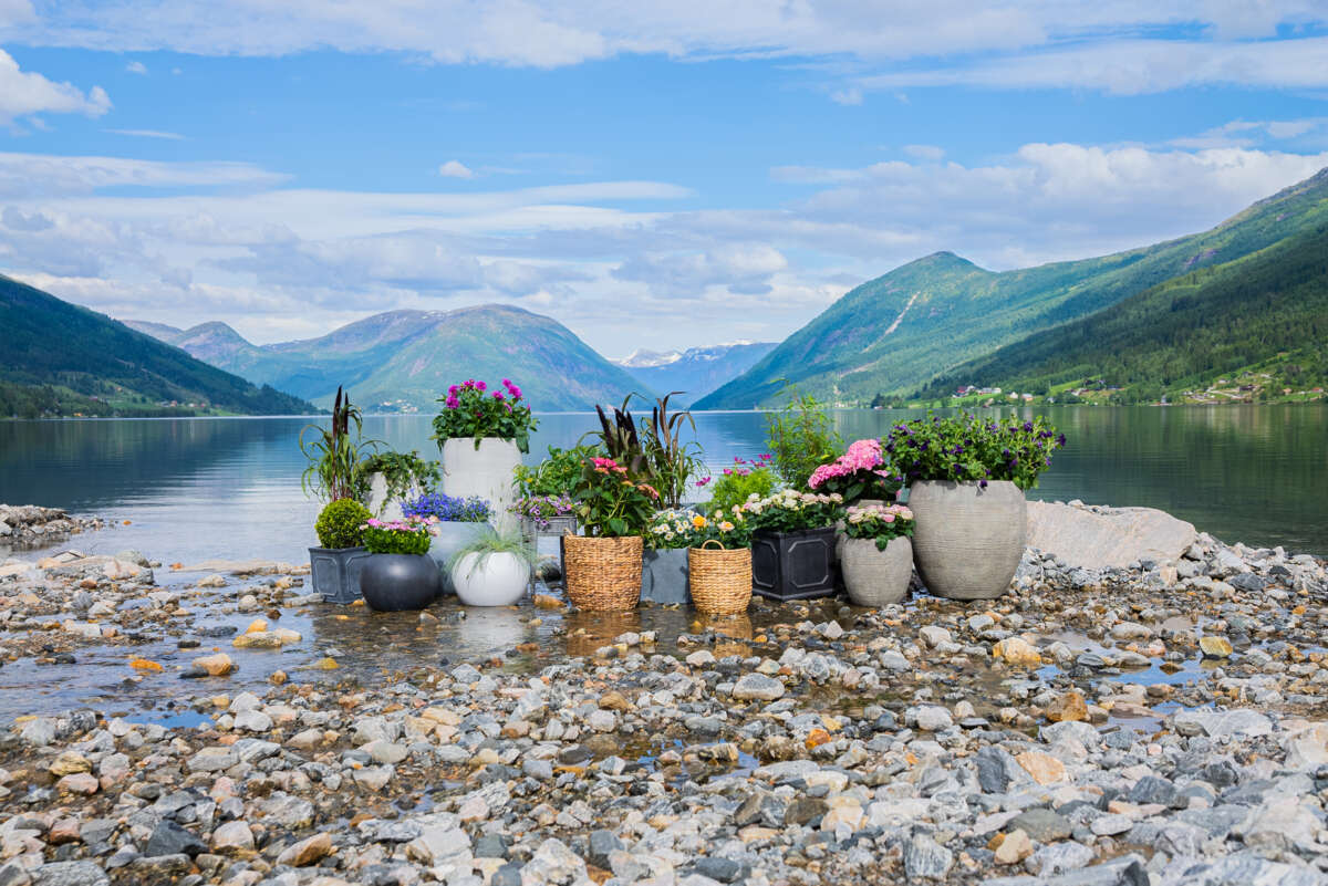 Odle Bergen potte