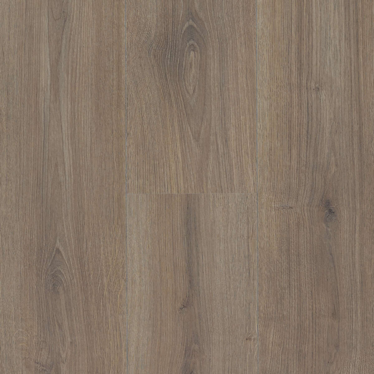 BUTTERSCOTCH OAK