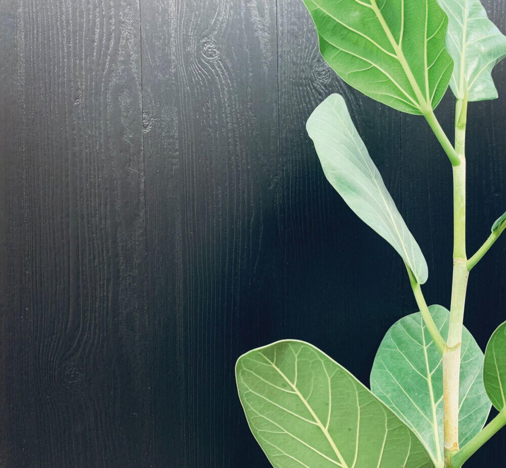 Huntonit panelbord Svalbard lasert