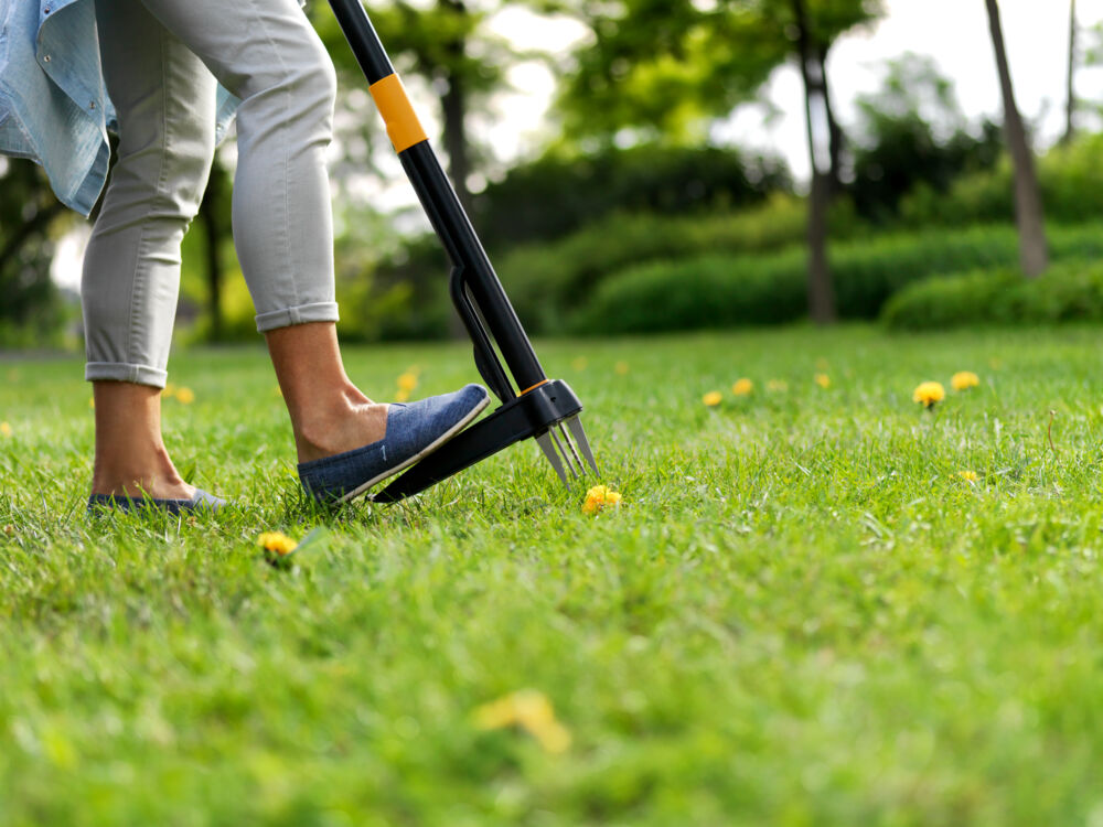 Fiskars Xact Weeder ugressfjerner