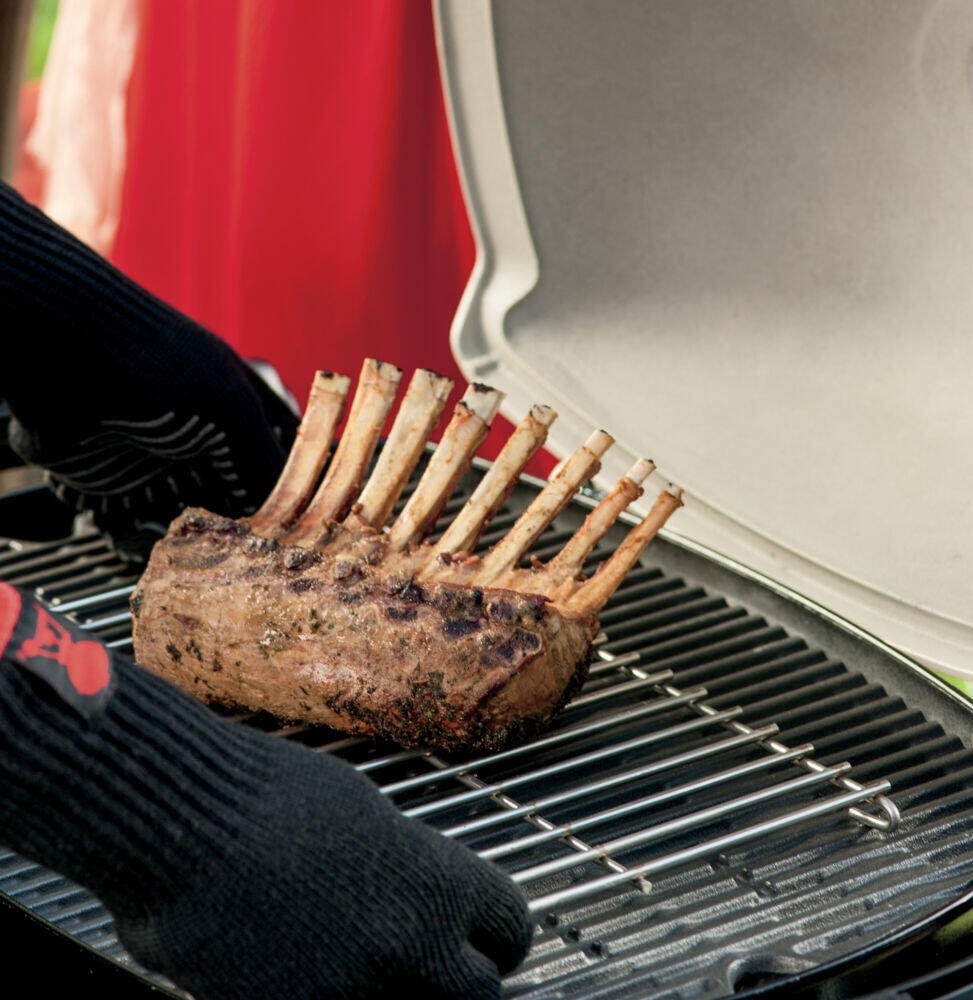 Weber® stekerist