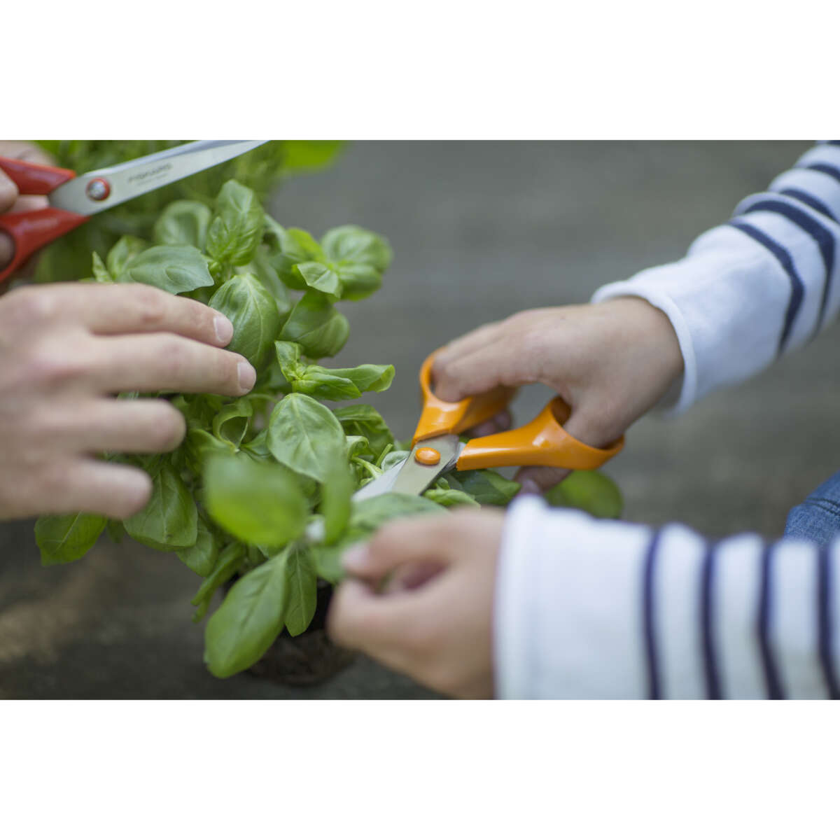 Fiskars S90 universalsaks