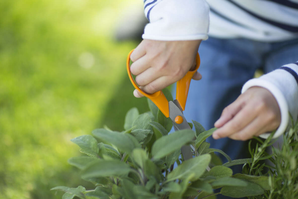 Fiskars S90 universalsaks