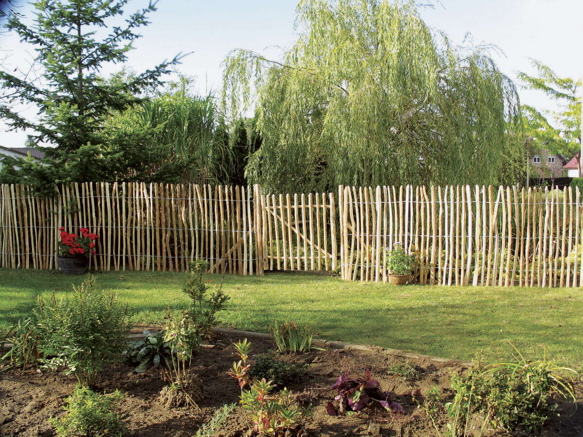 Palmako 120 cm x10 meter hasseltre stakitt