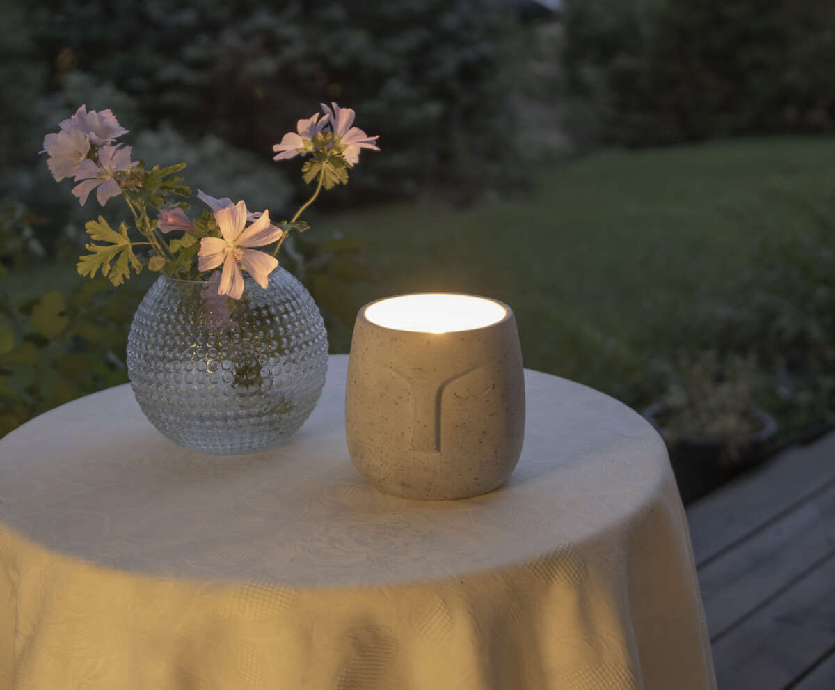 Citronella mygglys