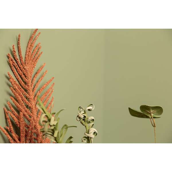 Smartpanel Trend i farge Skoggrønn MDF Plate