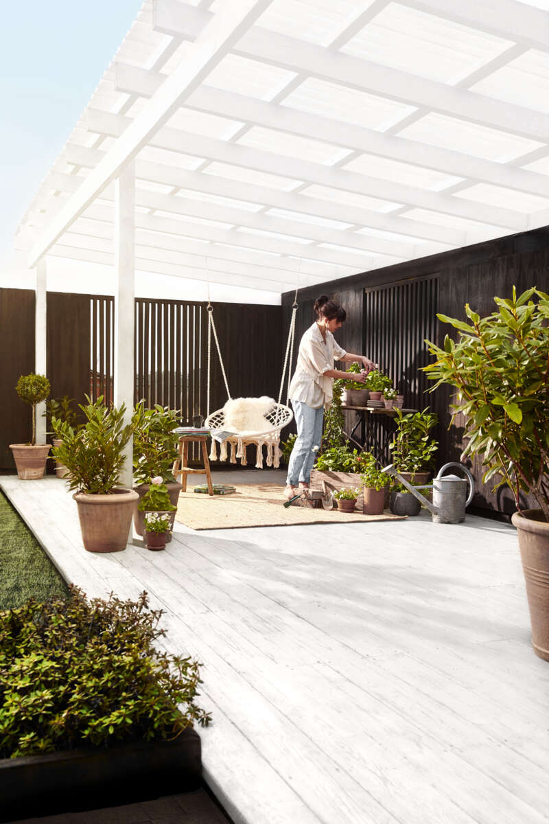 gop Suntuf trapestak