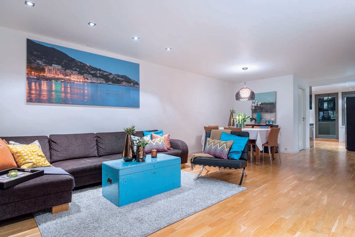 Premium Ceiling takplate 4-pk